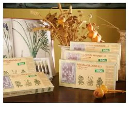 EQUIS ARV COMP 12F STV