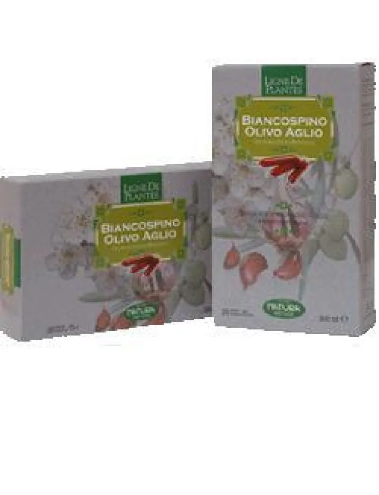 BIANCOSPINO/OLIVO/AGL 20ABX15M