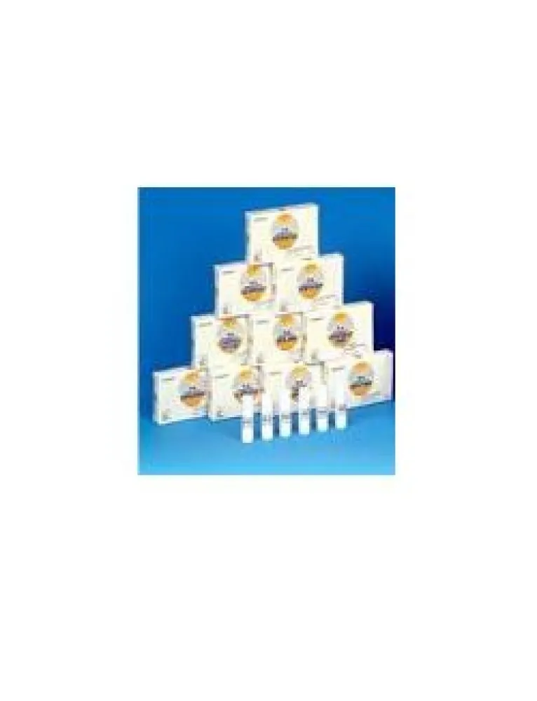 NOMABIT Vervain Glob.6g