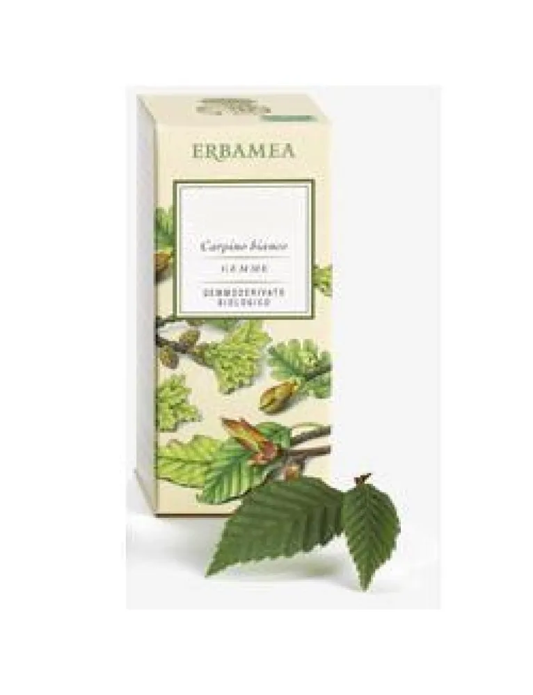 AESCULUS HIPPOC GEMME GEMMOD