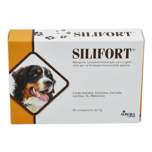SILIFORT 30COMPRESSE 1G