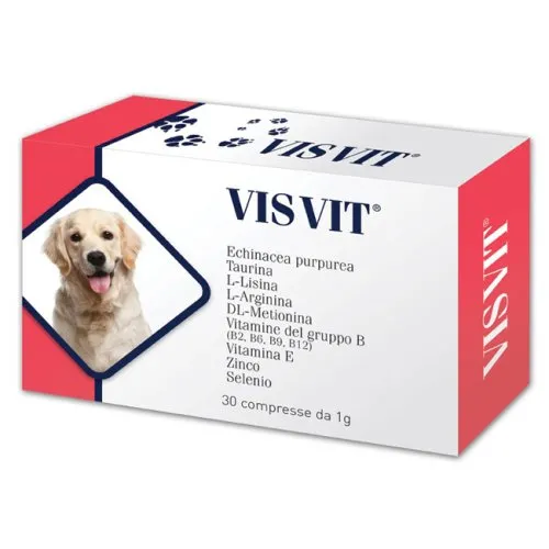 VISVIT 30CAPSULE 1G