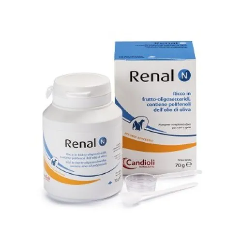 RENAL N 80G