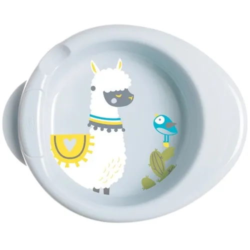 PIATTO PAPPACALDA 6M+VERD 160003