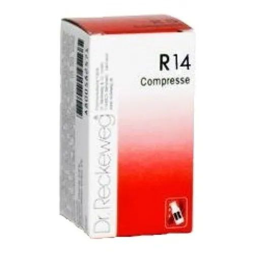 RECKEWEG R14 100CPR 0,1G