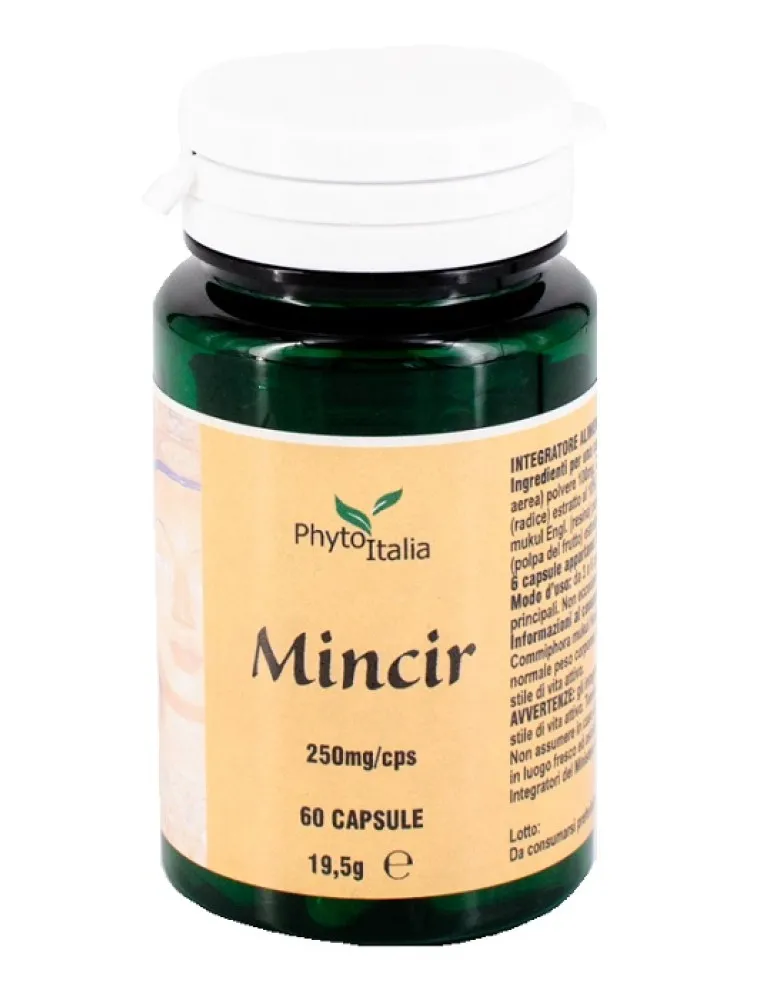 MINCEUR AYURVED 60CPS