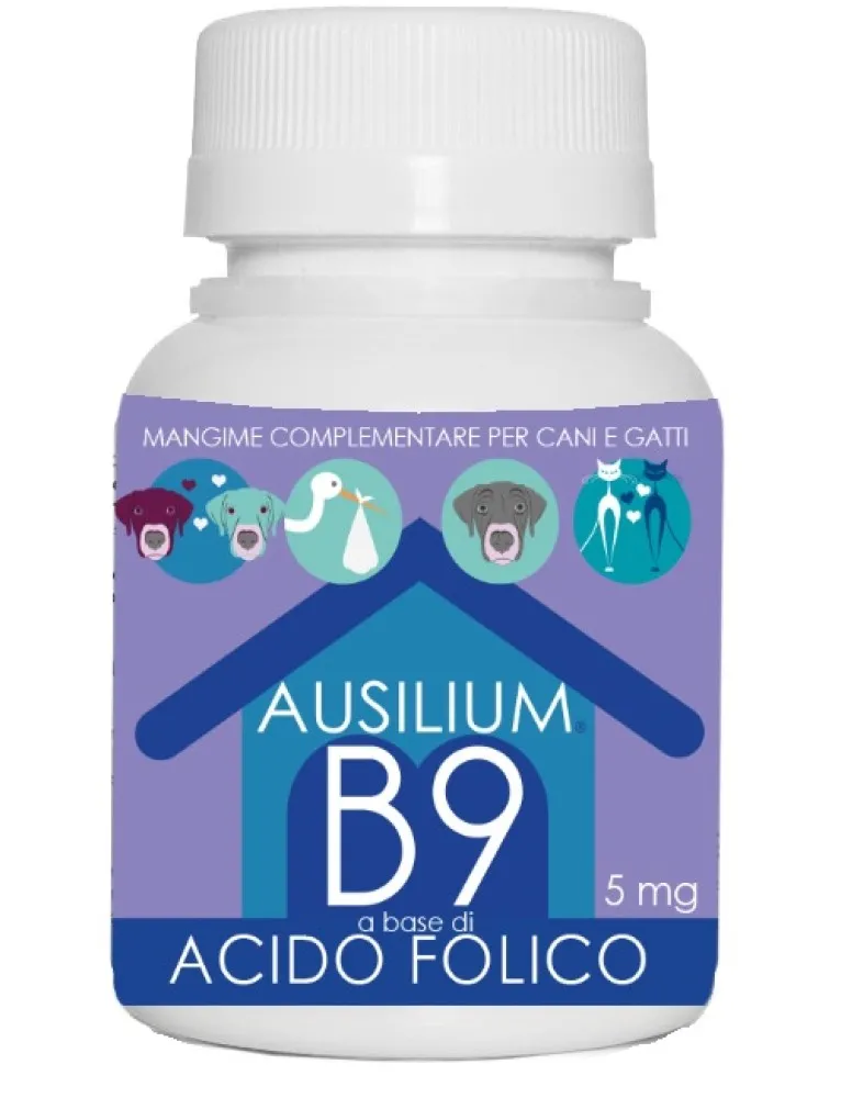AUSILIUM B9 ACIDO FOLIC 100G VET