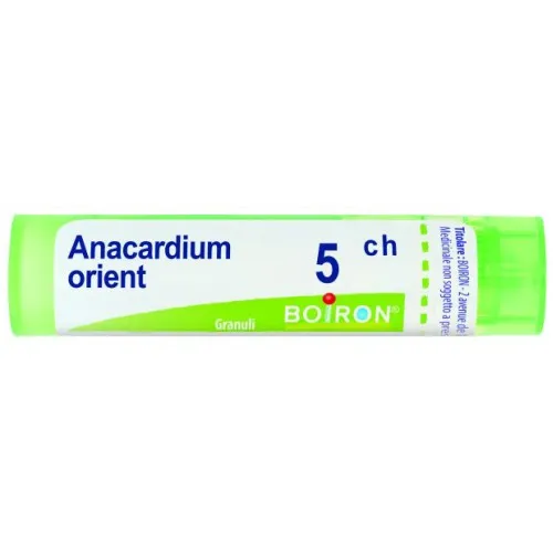 BO.ANACARDIUM ORIEN.5CH TUBO