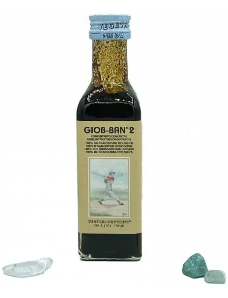 GIOB BAN 2 ART ESTR CONC 100ML