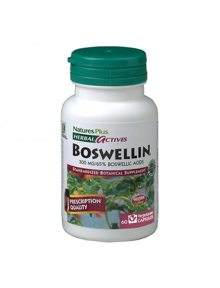 HERBAL ACTIVES INCENSO 60C LA