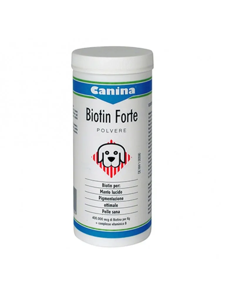 BIOTIN FORTE POLV 200G