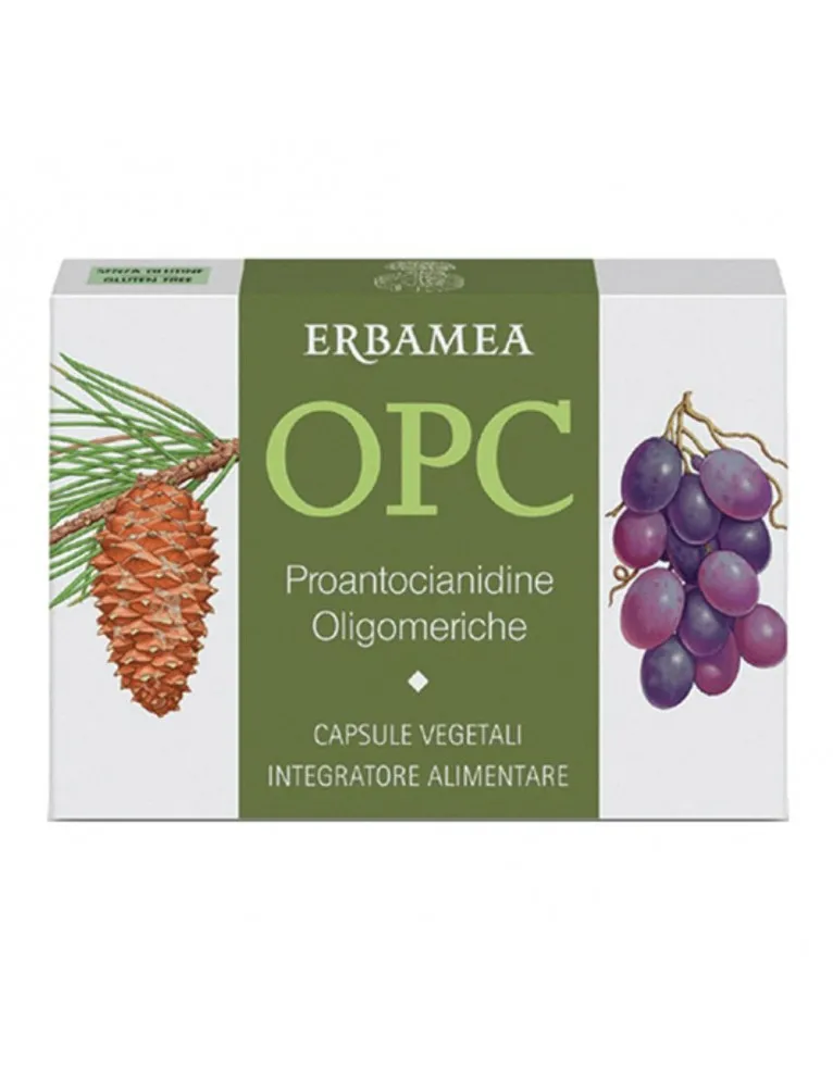 Erbamea OPC 24 Capsule