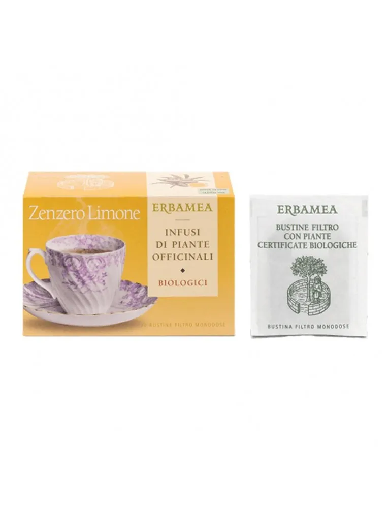 ZENZERO&LIM BIO 20 Bust.EBM