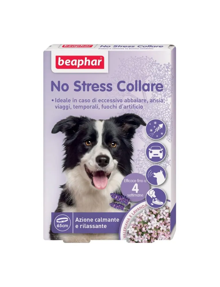 NO STRESS COLLARE CANE