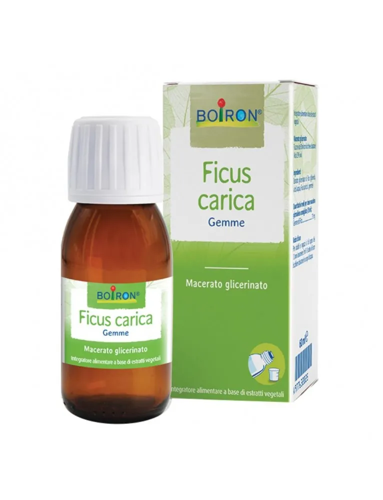 Boiron Ficus Carica Gemme 60 ml