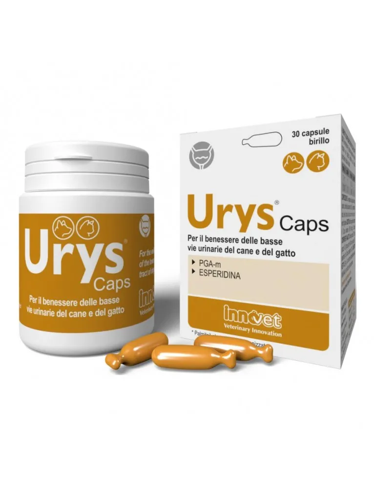 Urys Caps 30 Capsule