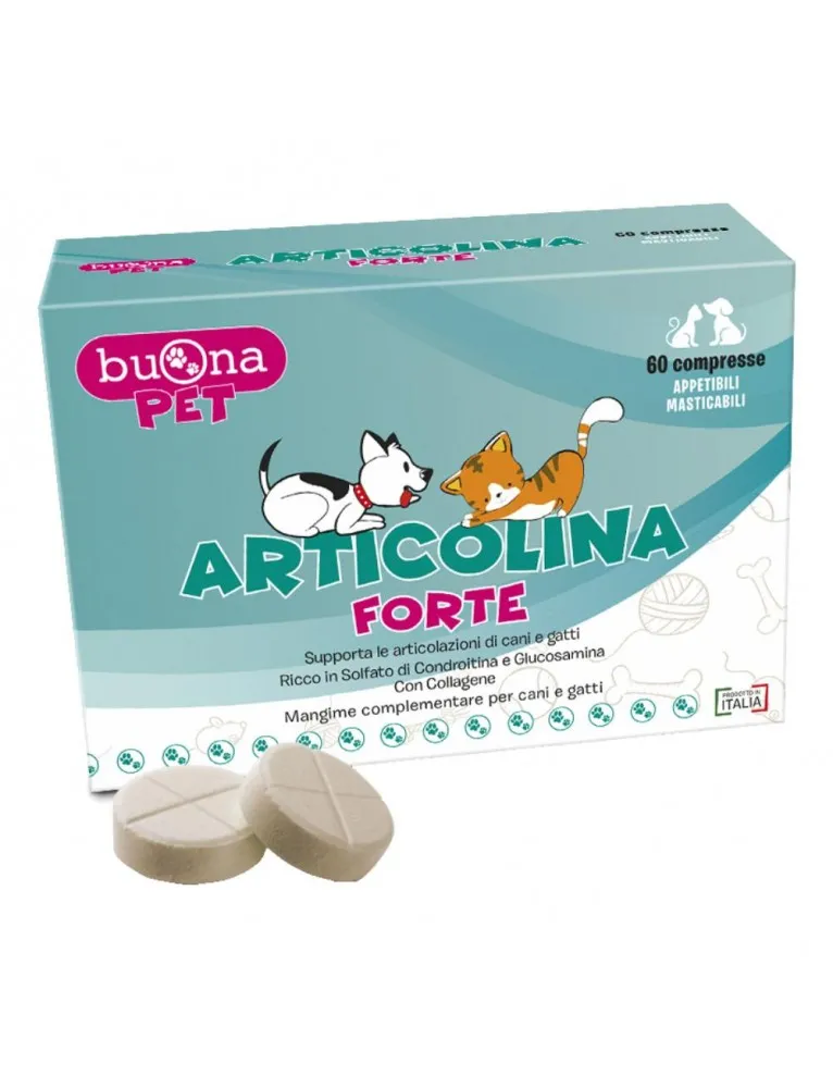 ARTICOLINA Forte 60 Cpr