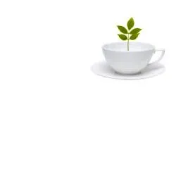 TISALAX MISCELA DI ERBE 100 G TAGLIO TISANA