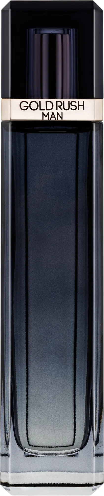 Paris Hilton Gold Rush Men