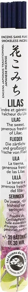 Bastoncini aromatici senza fumo