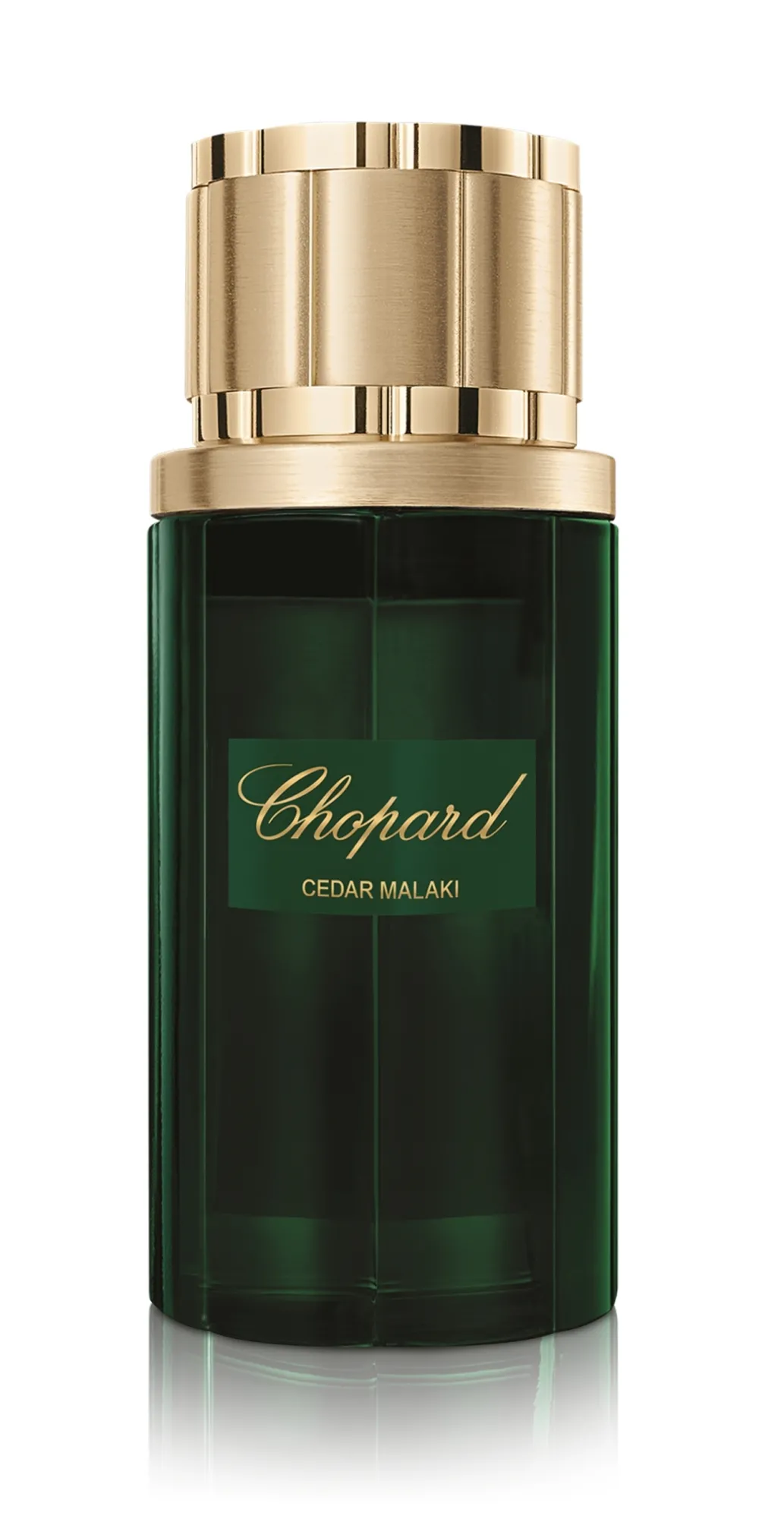 Chopard Cedar Malaki