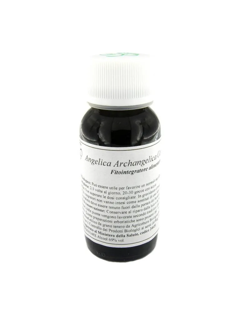 LVS 06N Angelica Arch.Comp.