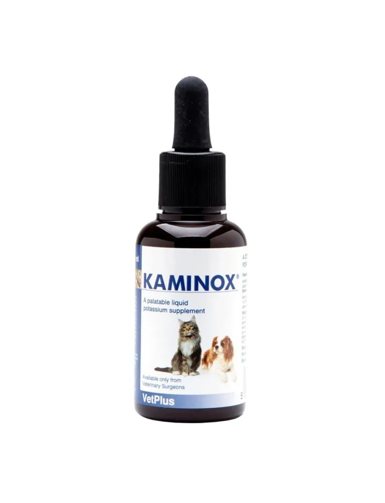 KAMINOX Sciroppo 60ml